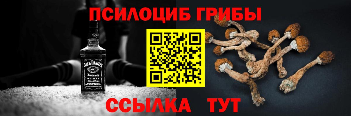 Ижевск  Псилоцибиновые грибы ЛСД  Псилоцибиновые грибы мухоморы  Вход с VPN 